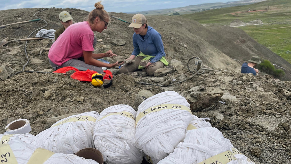 Boys at dinosaur dig site
