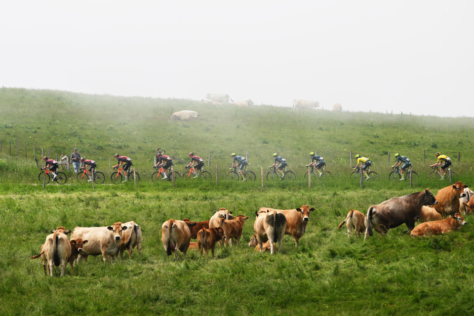 (Dario Belingheri/Getty Images)