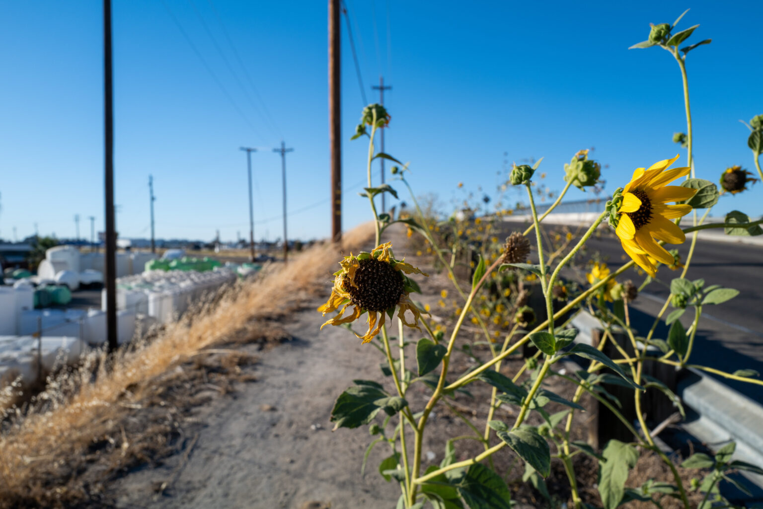 Some Americans Will Get $500 Monthly Payments: Here’s Who Qualifies