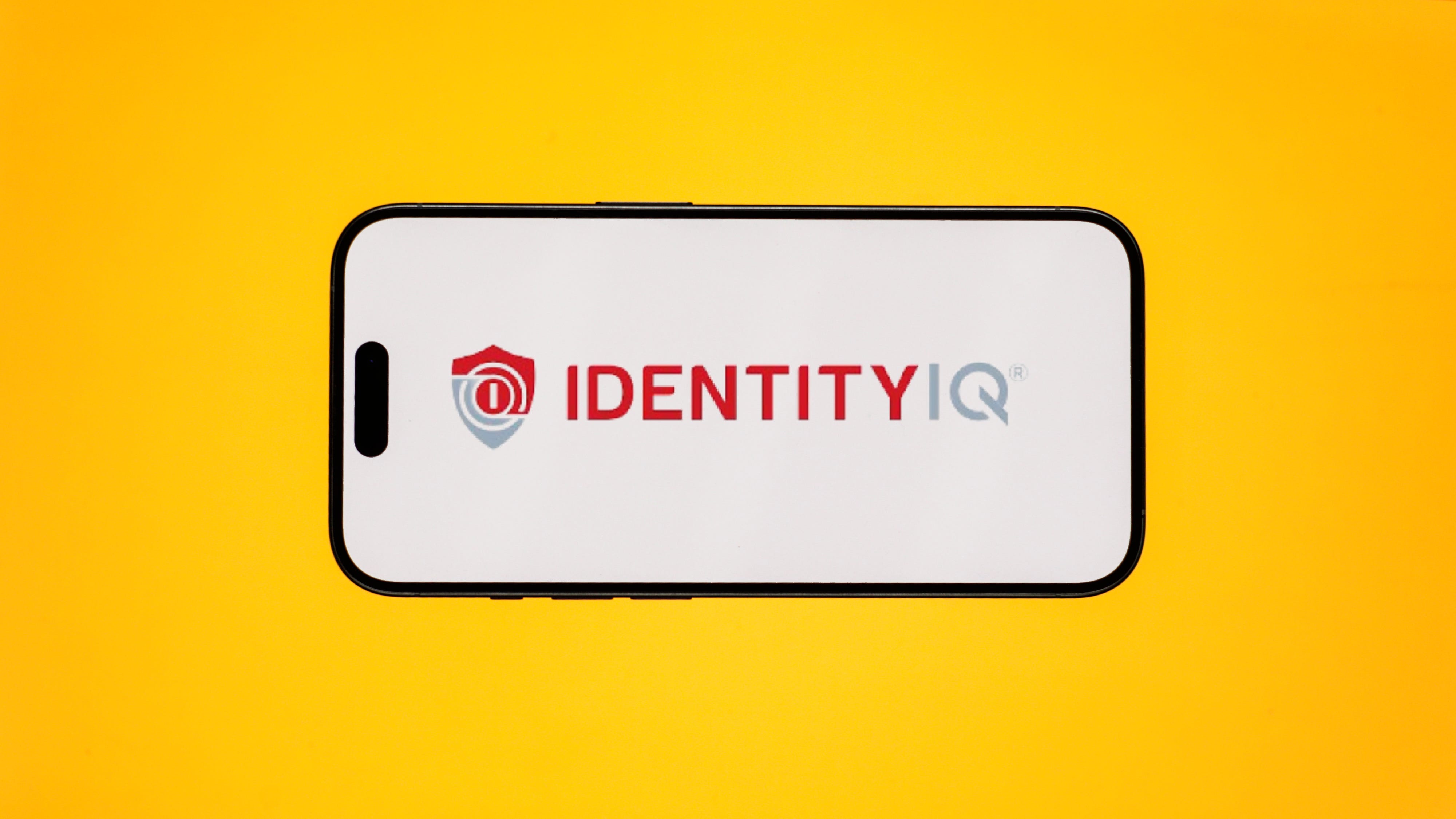 IdentityIQ