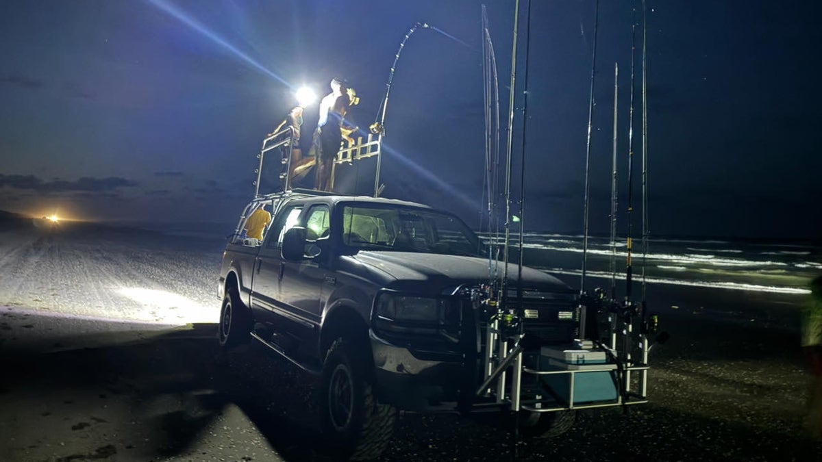 TRUCK IN PURSUIT OF HAMMERHEAD SHARK