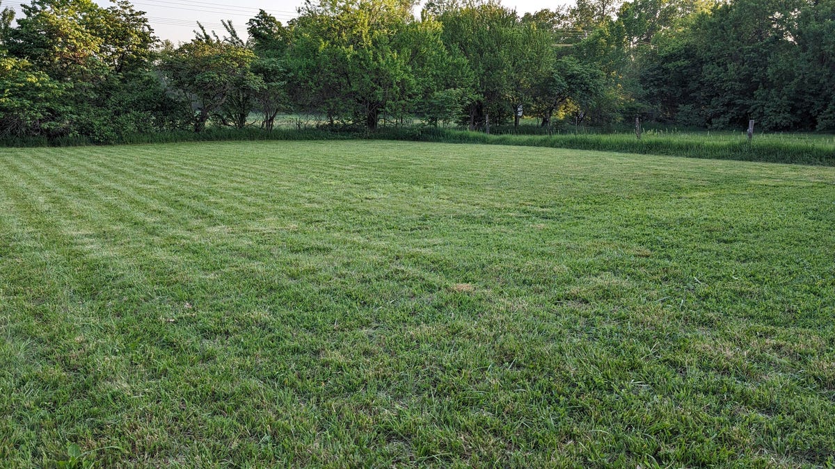 a wide featureless lawn with trees in the distance