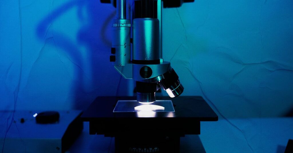 Could bone marrow transplants help treat symptoms?