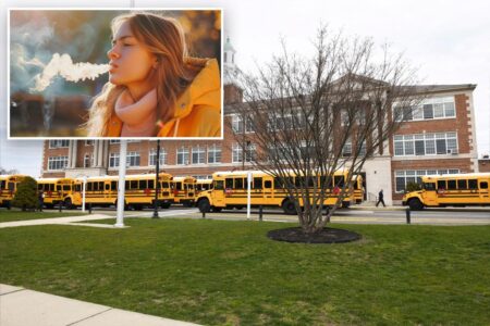 New York school district installs ‘vape detectors’ in middle school bathrooms
