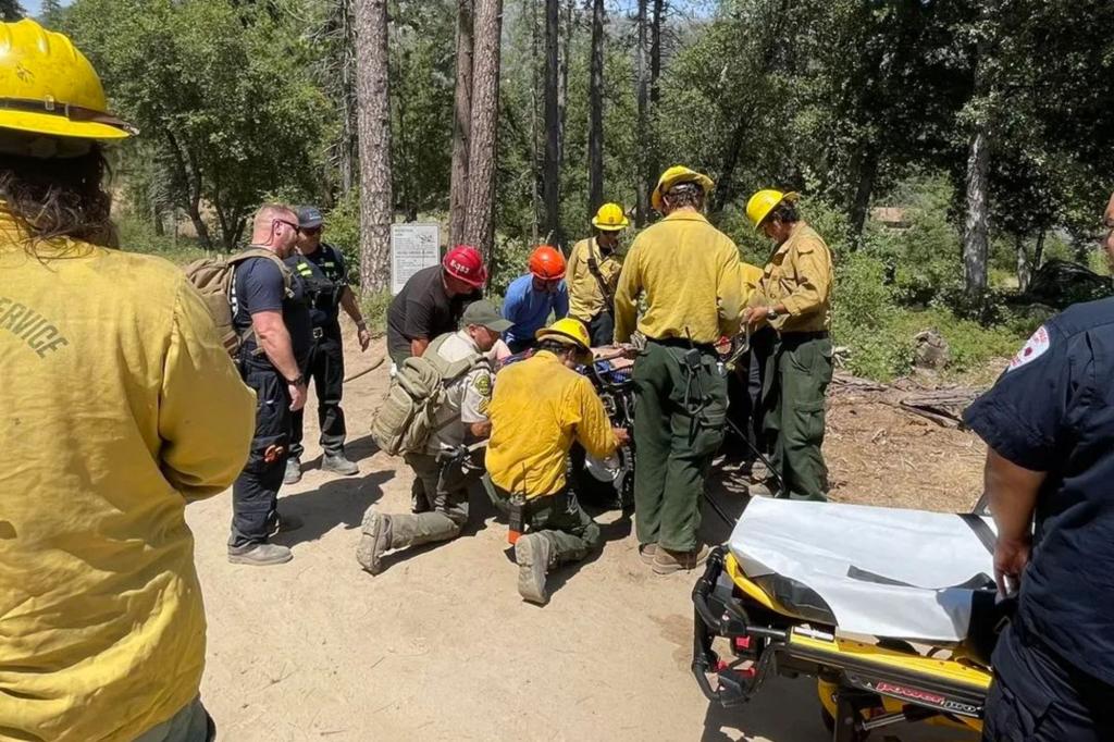 California man died ‘trying to save’ girlfriend as rescue teams recover couple’s bodies from waterfall near Yosemite