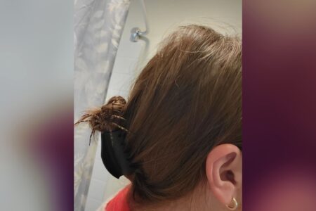 Horror as Woman Returns From Basement, Realizes She’s Not Alone