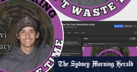 Grieving family scammed online