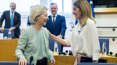 Green vote could make or break von der Leyen’s bid for second term