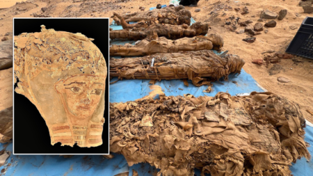 Archaeologists excavate haunting ‘City of the Dead’ packed with hundreds of tombs