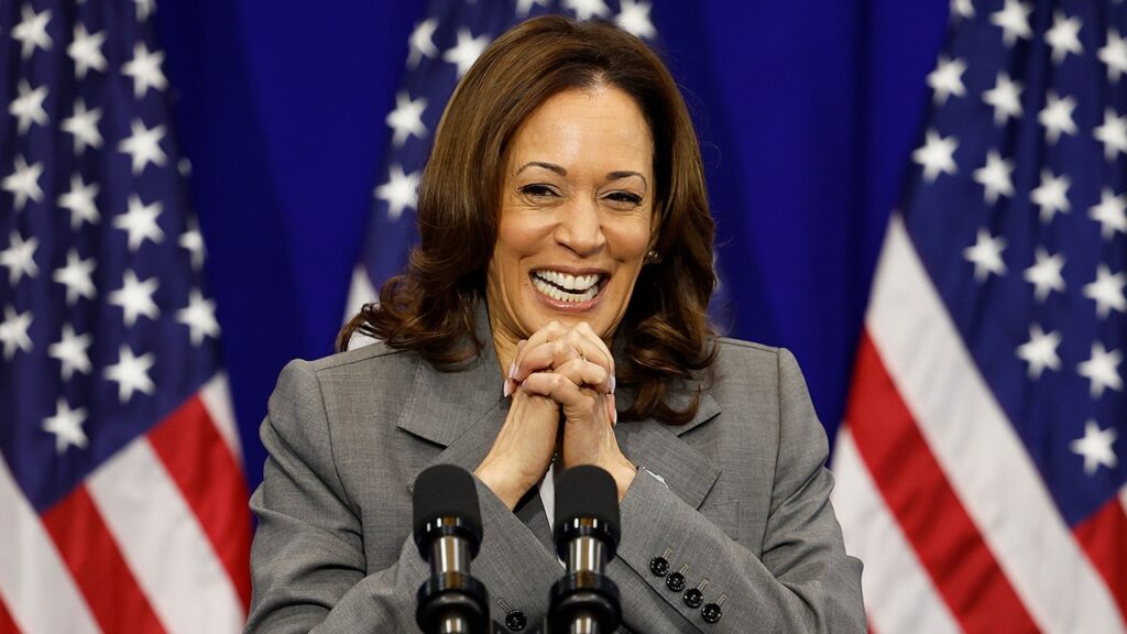 Harris’ favorability sees dramatic spike after Biden drops out: poll