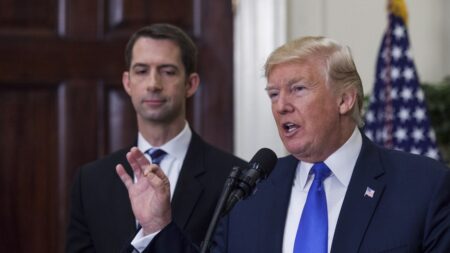 Trump running mate contender Sen. Tom Cotton called ‘a workhorse, not a show horse’