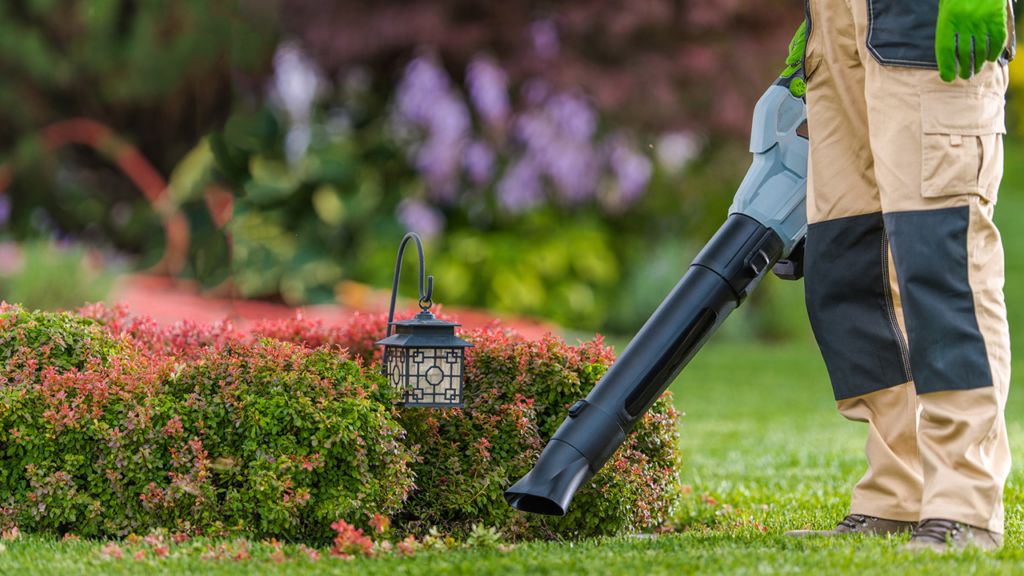 Amazon Prime Day: Save early on these 10 eco-friendly lawn equipment picks
