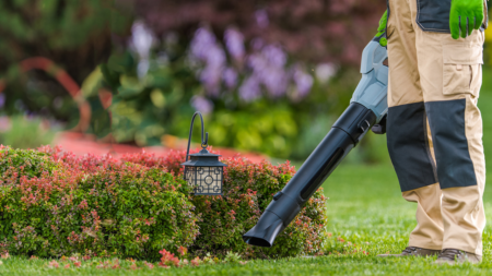 Amazon Prime Day: Save early on these 10 eco-friendly lawn equipment picks