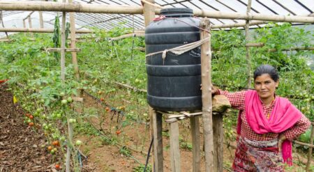 A Masterful Model For Entrepreneurial Innovation