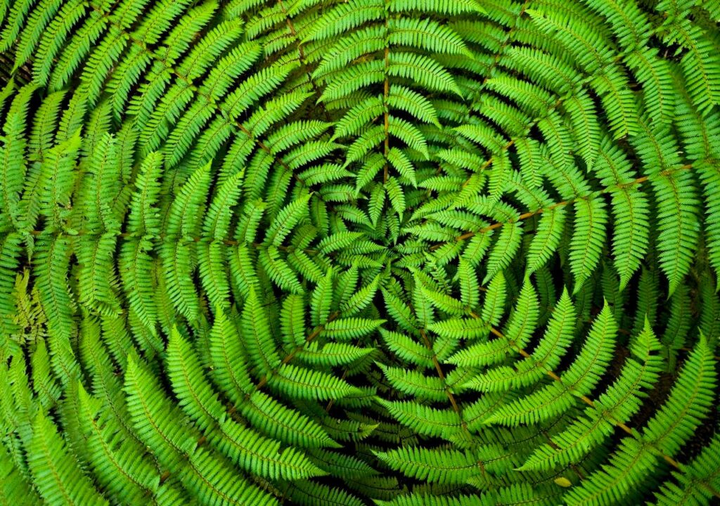 Harnessing Design For Sustainable Business Practices