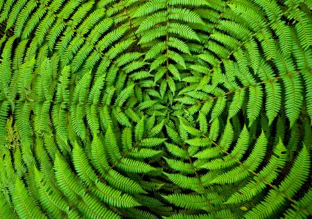 Harnessing Design For Sustainable Business Practices