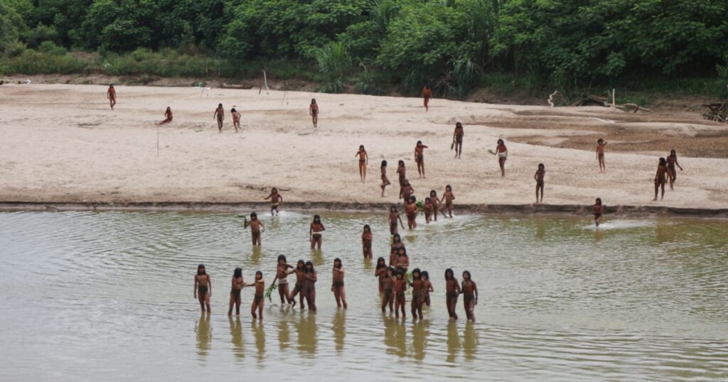 Uncontacted Amazon tribe in unusual sighting near logging area