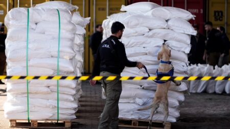 Paraguay finds 4 tons of cocaine hidden in sugar in ‘Operation Sweetness’