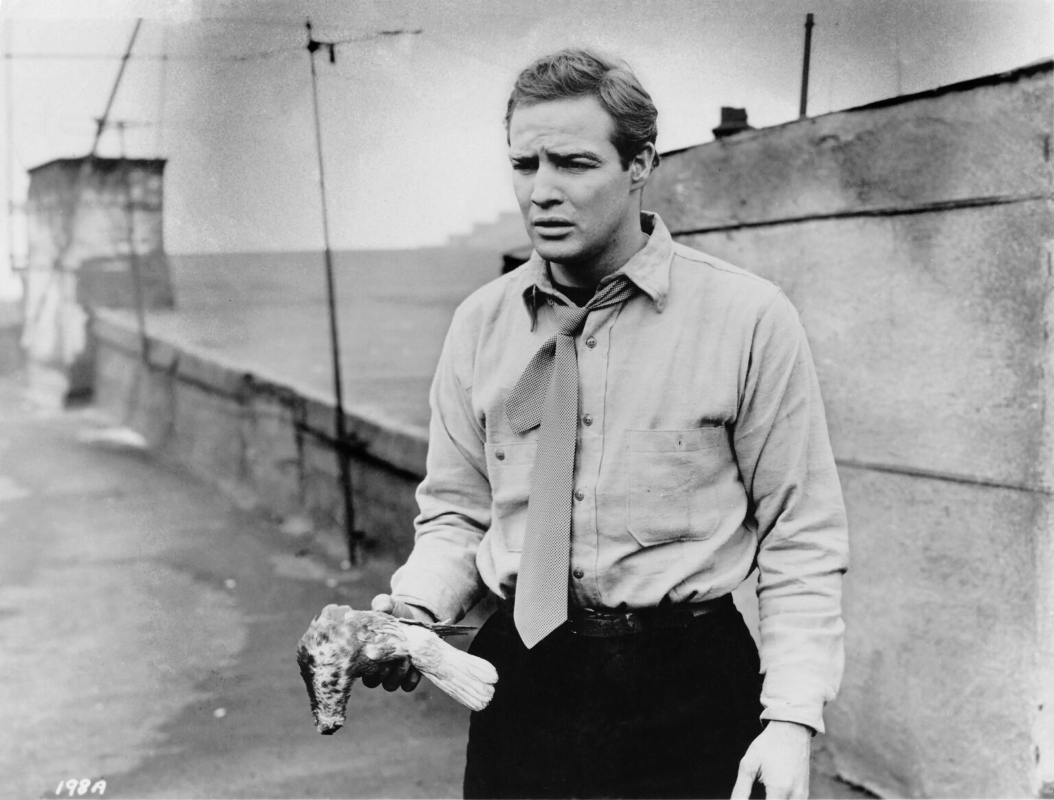 On this day in history, July 28, 1954, Oscar-winning film ‘On the Waterfront’ is released