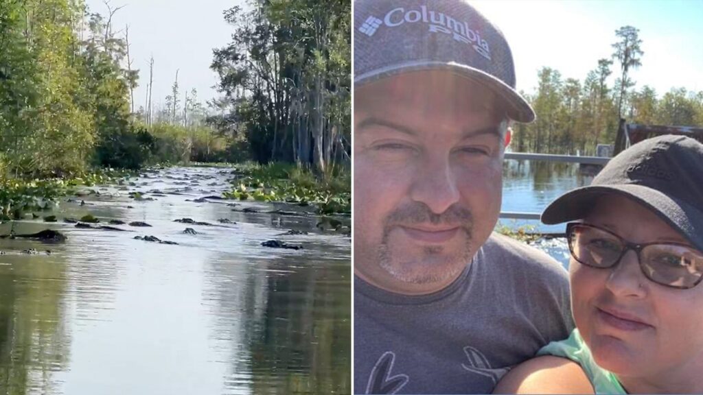 In Georgia’s Okefenokee Swamp, alligators swarm canal in viral video: ‘Gators everywhere’