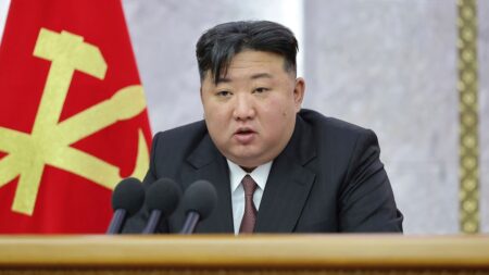 North Korean officials looking to import treatment for Kim’s obesity-related health issues: Seoul