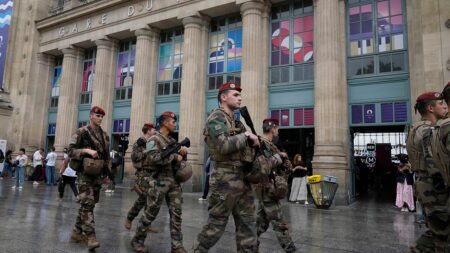 French official says ‘ultra-left activist’ arrested for breaking into railway site amid train ‘sabotage’ probe