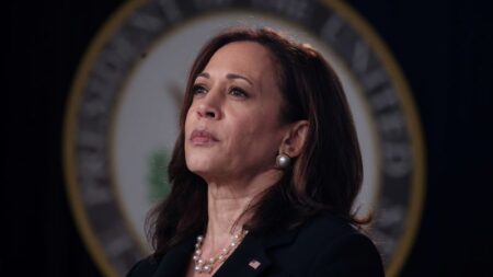 Biden endorses Harris to be the next Democratic presidential nominee