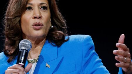 Harris puts focus on beating Trump, not concerns over Biden, as she tries to appeal to Black voters