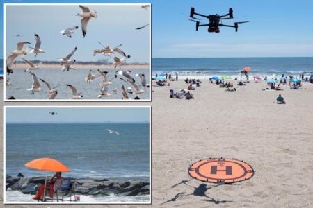 Flock off! Angry birds are attacking NYC beach drones flown save drowning swimmers