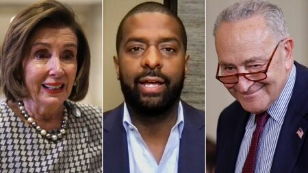 Watch: Sellers accuses Pelosi and Schumer of ‘political malpractice’ in the way they are handling Biden