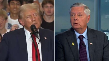 Video: Lindsey Graham pressed on Trump pushing election cheating rhetoric. Hear his response