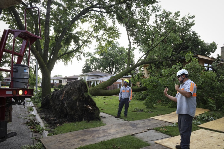 Workers cleared an uprooted tree from a lawn in Norridge, Ill., Tuesday, July 16, 2024. 
