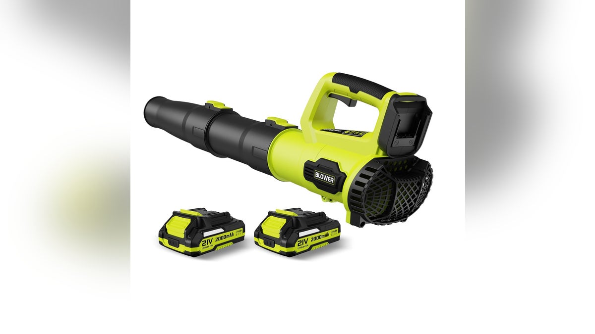 Clean up your yard easily with a cordless leaf blower.