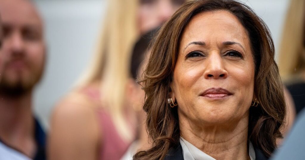 Kamala Harris Brings ‘Palpable’ Energy To One Of The Election’s Most Important Issues