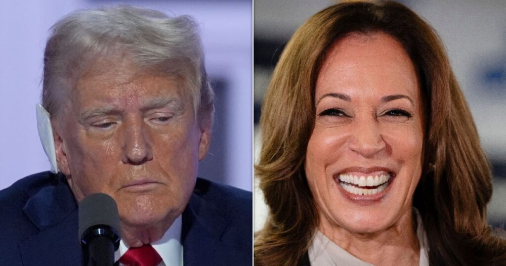 Trump Pollster Warns Campaign A ‘Harris Honeymoon’ Is Coming