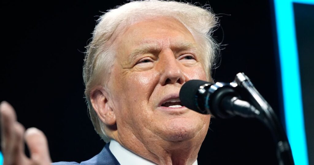 Trump Tells Crowd They ‘Won’t Have To Vote’ Again After Election In Bizarre Remarks