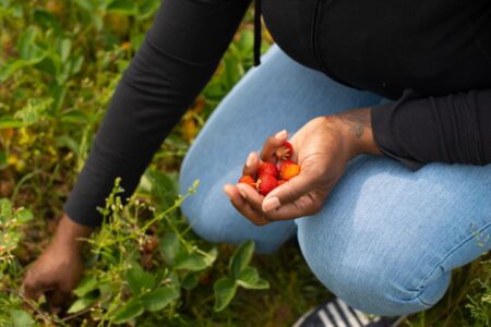 ‘You-pick’ farms still in full swing around greater Columbus. Here’s where you can go.