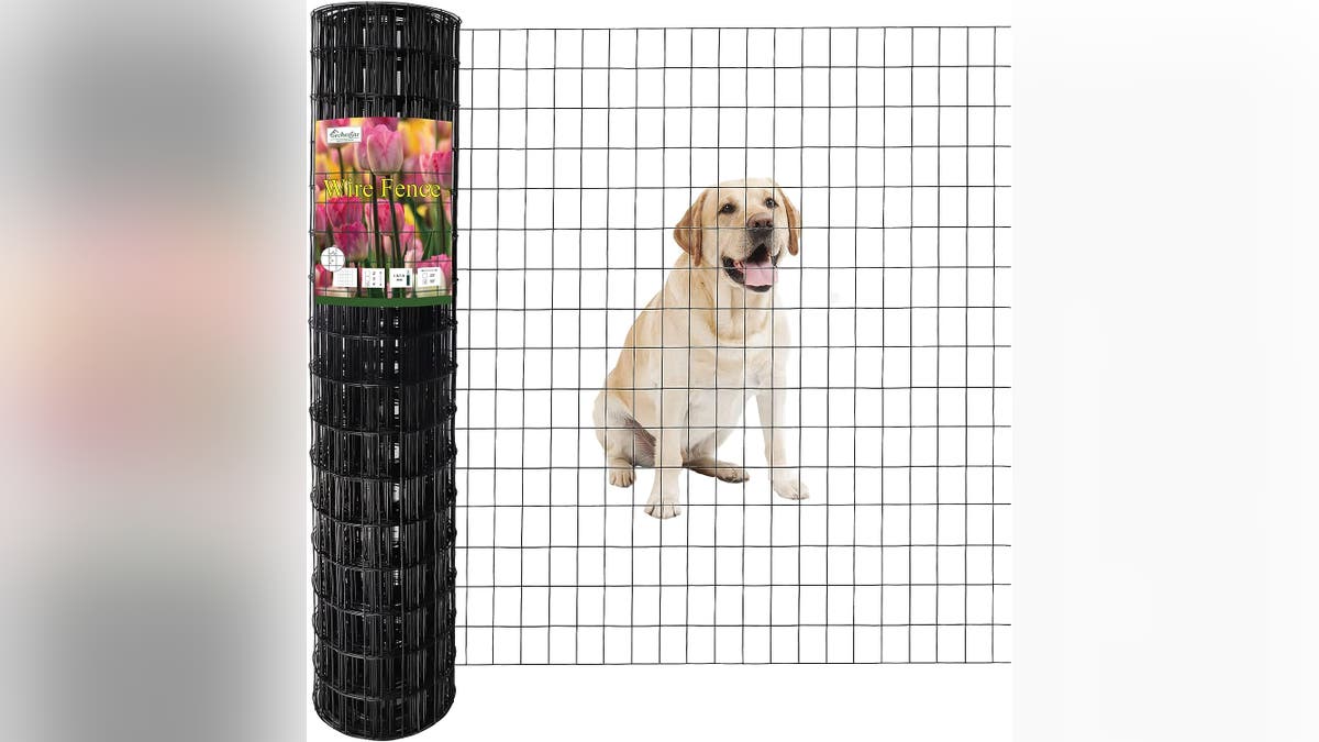 Your outside walls will likely be made from wire fencing.