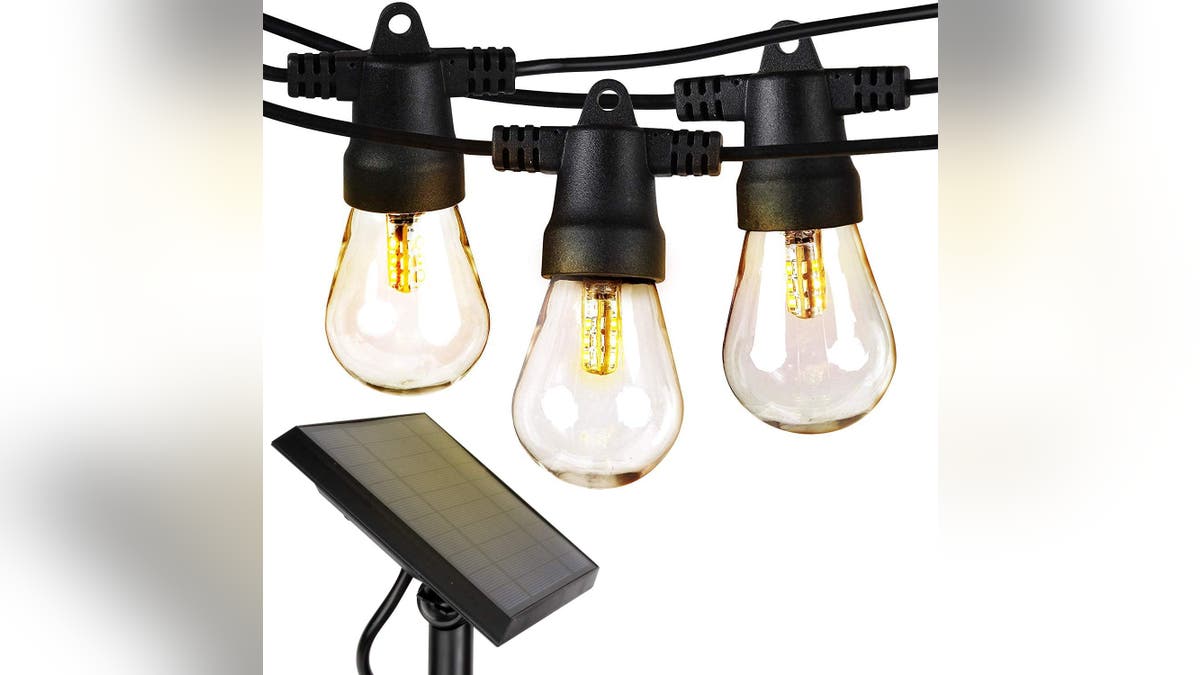 Solar string lights can be hung anywhere in your yard.
