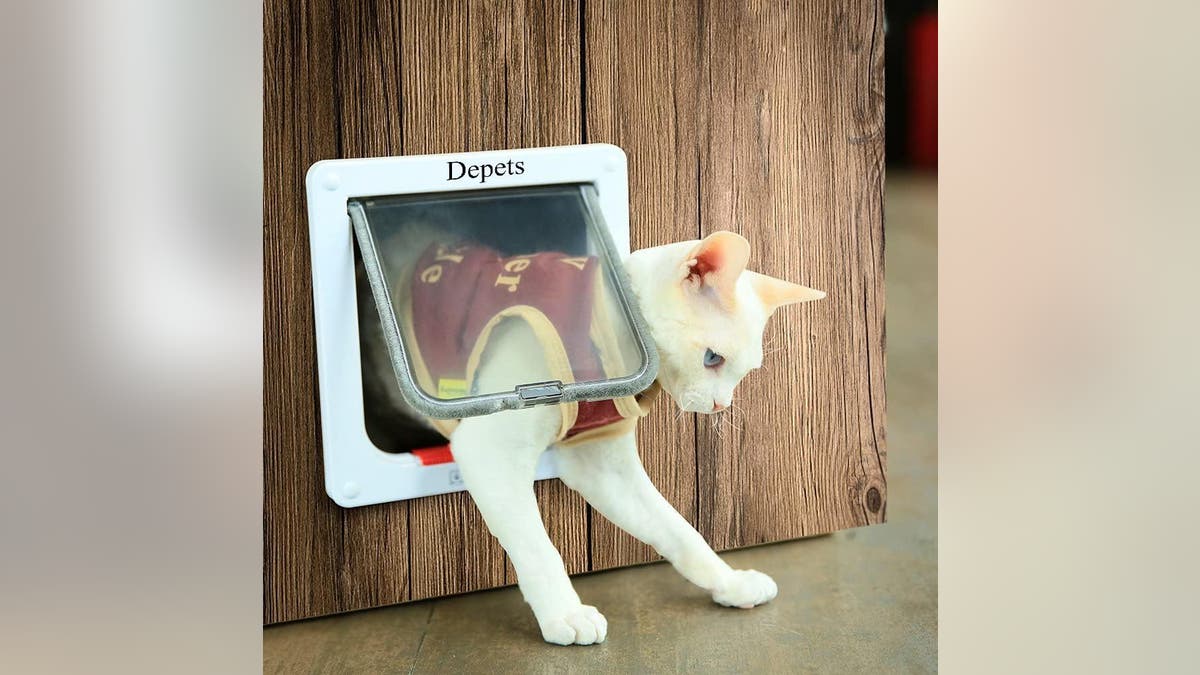 Create an entrance to the catio with the help of a catio.