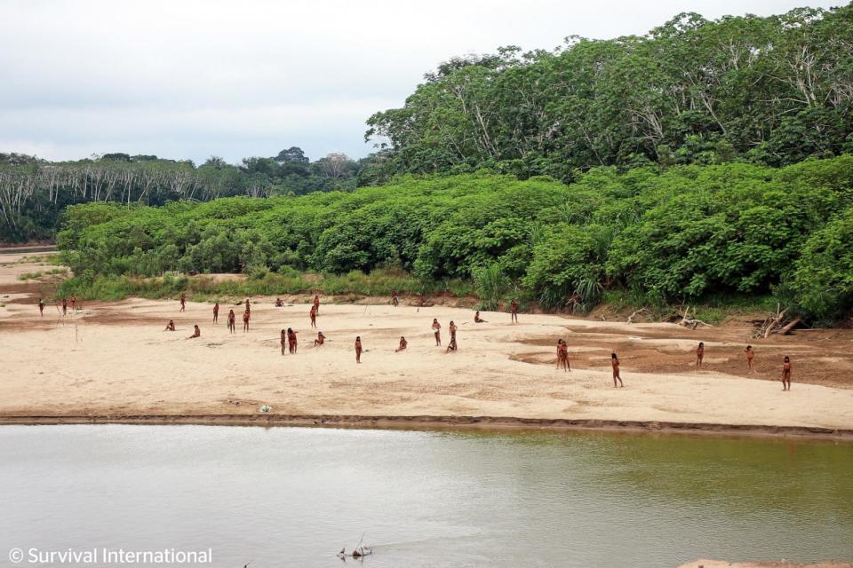 PHOTO: Dozens of uncontacted people deep in the Peruvian Amazon have been captured on camera just several miles from a number of logging areas, a human rights group said, and they are believed to be from the largest uncontacted tribe in the world. (Survival International)