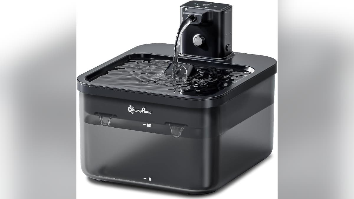 Provide water in a moving water fountain.