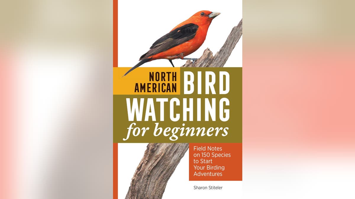 Start identifying birds by their appearance and location with a field guide.