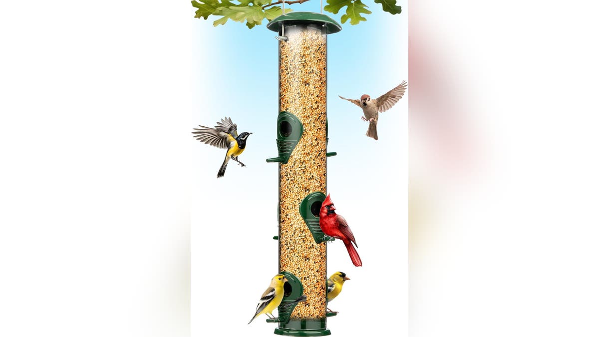 Novice birders will appreciate the simplicity of a classic bird feeder.