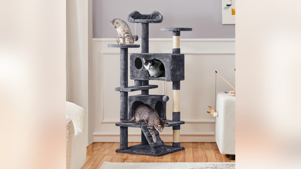 Provide some fun in the catio with a cat tree.