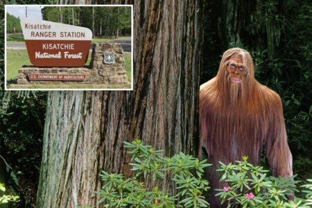 Terrified teens spot ‘Bigfoot’ with ‘glowing eyes’ in Louisiana forest, call 911 for rescue