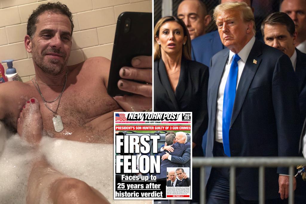 Most Americans back Hunter Biden conviction, imprisonment — but feel opposite for Trump: poll