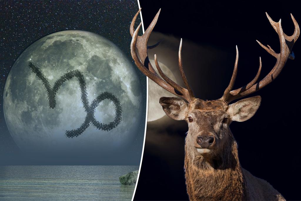 July 2024’s Full Buck Moon in Capricorn will illuminate your limitations