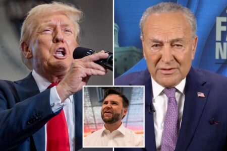 Schumer trolls Trump for VP pick, claims he could ditch Vance: ‘One of the best things he ever did for Democrats’