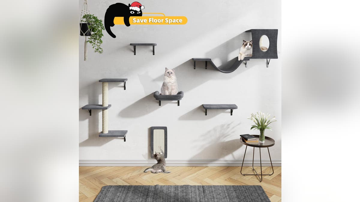 Attach different catio shelves for easy climbing.